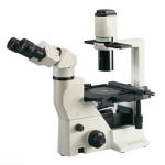 Binocular Inverted Phase Microscope
