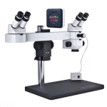 Dual Discussion Digital Stereo Microscope