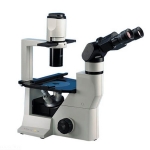 Ergonomic Binocular Inverted Phase Microscope
